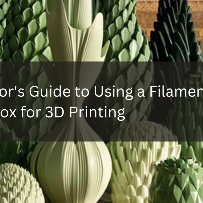 A Creator's Guide to Using a Filament Dryer Box for 3D Printing